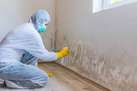 Best Asbestos and Lead Testing During Mold Inspection in Hubbard, OR