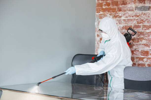 Best Environmental Consulting for Mold Prevention in Hubbard, OR