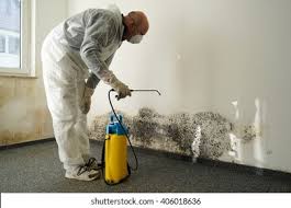 Why You Should Choose Our Mold Remediation Services in Hubbard, OR